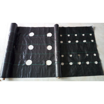 Weed Mat with Holes/Ground Cover/Landscape Fabric/Garden Cover